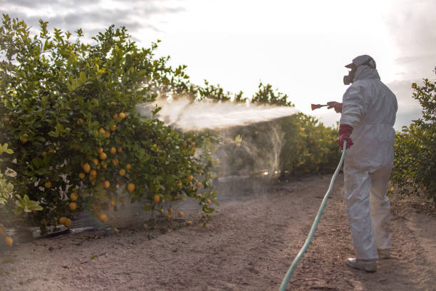 Best Wildlife Control Services  in Centerville, MN