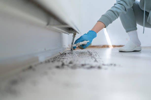 Best Cockroach Control Services  in Centerville, MN
