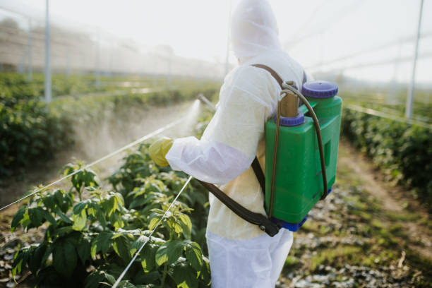 Best Pest Control Near Me  in Centerville, MN
